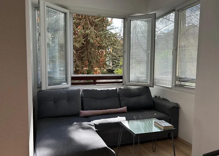 The Studio Apartment